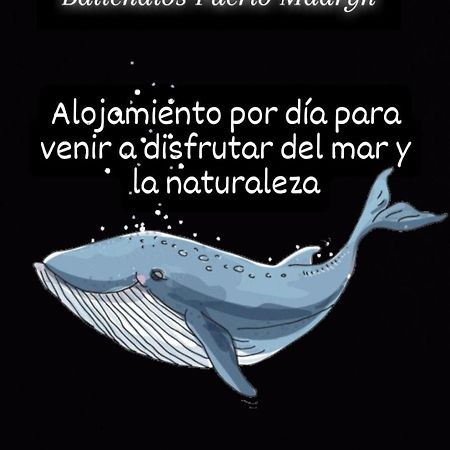 Ballenatos Madryn プエルト・マドリン エクステリア 写真