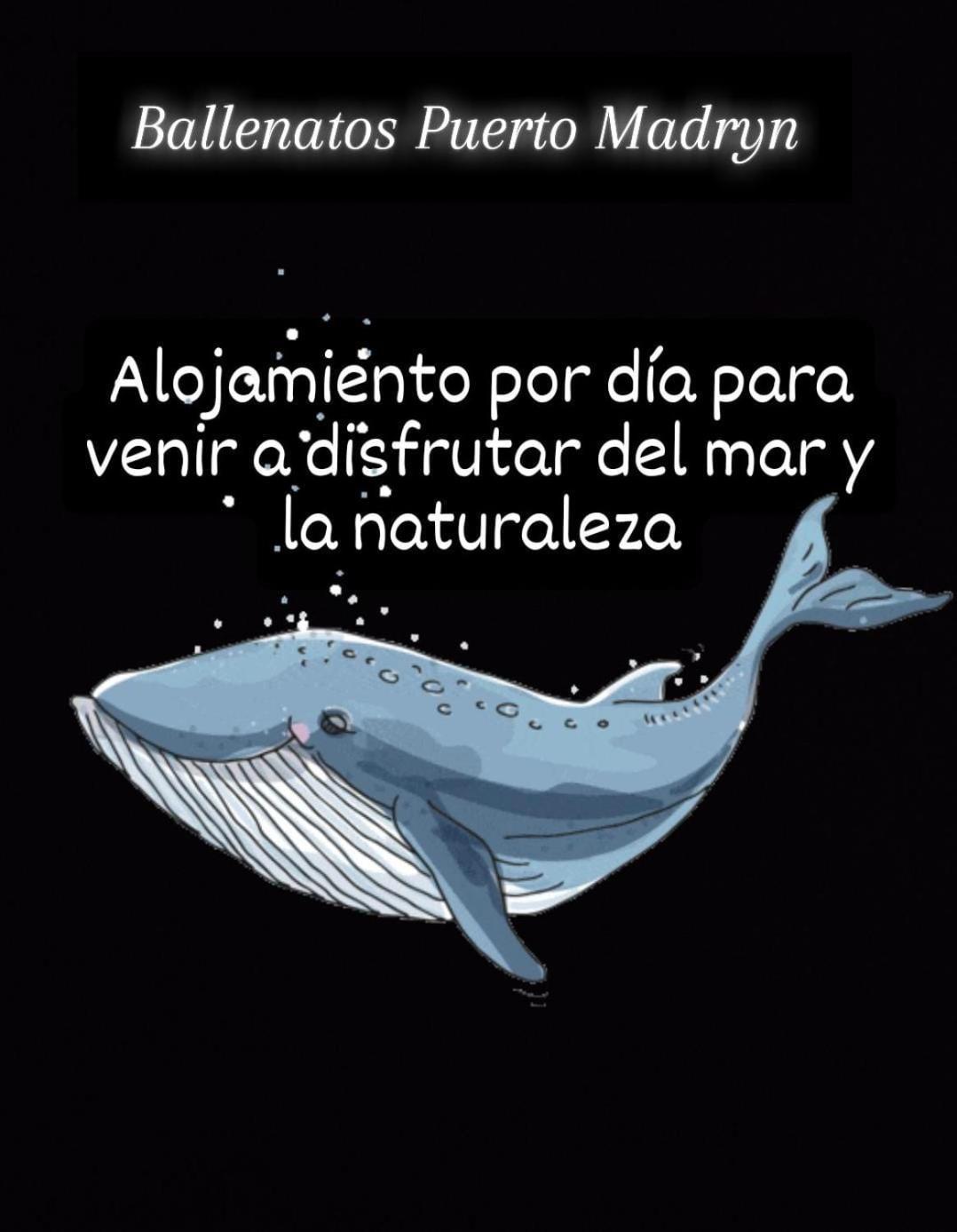 Ballenatos Madryn プエルト・マドリン エクステリア 写真